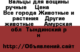 Вальцы для вощины ручные  › Цена ­ 10 000 - Все города Животные и растения » Другие животные   . Амурская обл.,Тындинский р-н